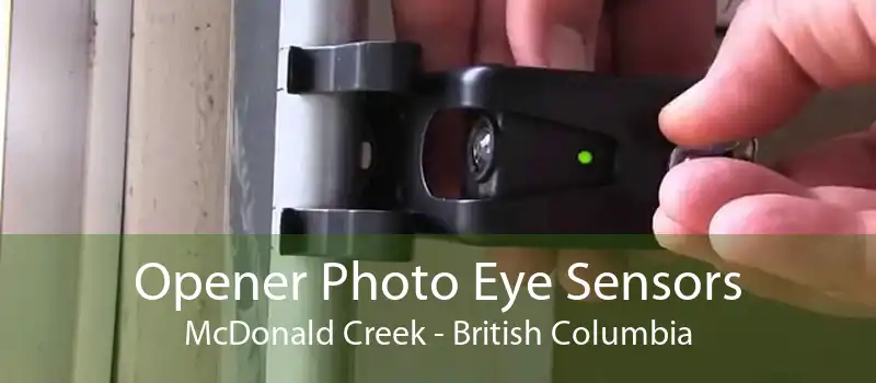 Opener Photo Eye Sensors McDonald Creek - British Columbia