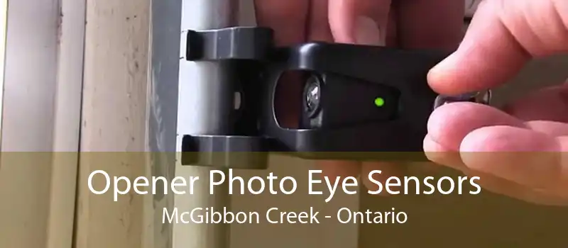 Opener Photo Eye Sensors McGibbon Creek - Ontario