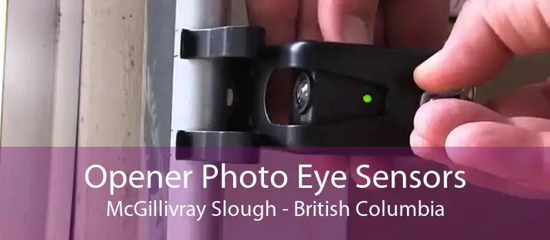 Opener Photo Eye Sensors McGillivray Slough - British Columbia