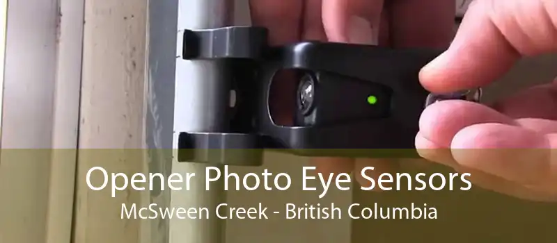 Opener Photo Eye Sensors McSween Creek - British Columbia