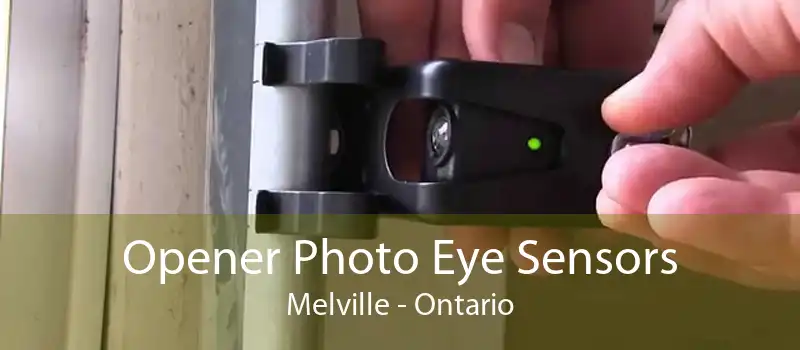 Opener Photo Eye Sensors Melville - Ontario