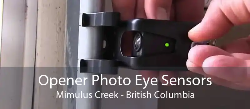 Opener Photo Eye Sensors Mimulus Creek - British Columbia