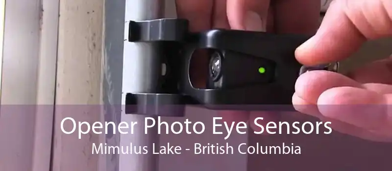 Opener Photo Eye Sensors Mimulus Lake - British Columbia