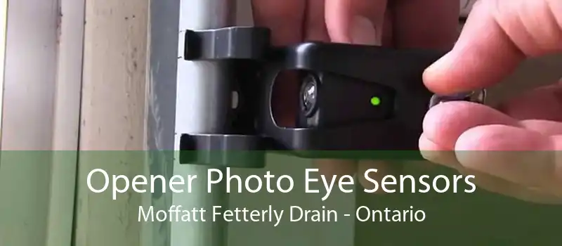 Opener Photo Eye Sensors Moffatt Fetterly Drain - Ontario