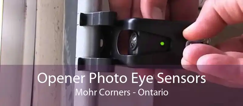 Opener Photo Eye Sensors Mohr Corners - Ontario