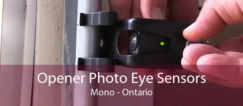 Opener Photo Eye Sensors Mono - Ontario