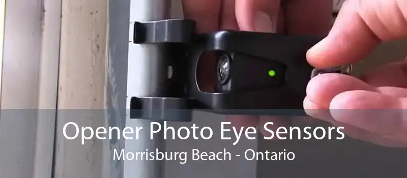 Opener Photo Eye Sensors Morrisburg Beach - Ontario