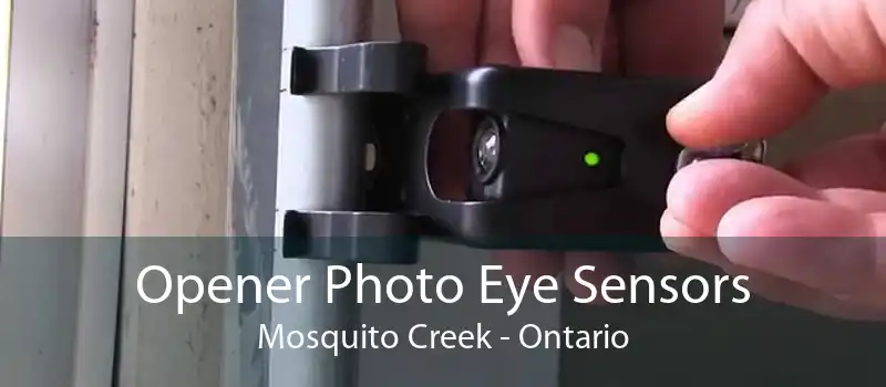 Opener Photo Eye Sensors Mosquito Creek - Ontario