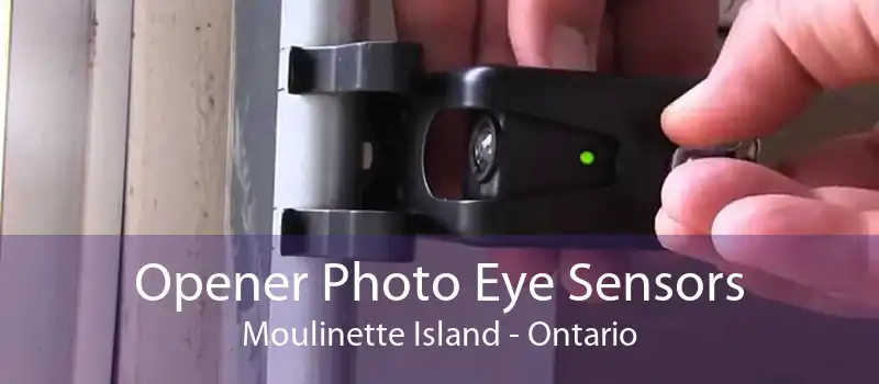 Opener Photo Eye Sensors Moulinette Island - Ontario