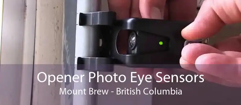 Opener Photo Eye Sensors Mount Brew - British Columbia