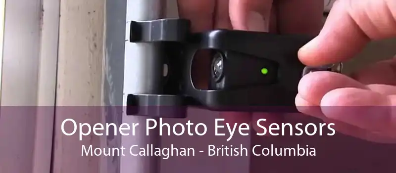 Opener Photo Eye Sensors Mount Callaghan - British Columbia