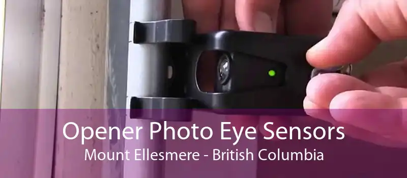 Opener Photo Eye Sensors Mount Ellesmere - British Columbia