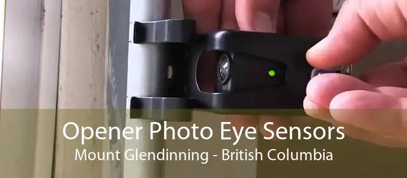 Opener Photo Eye Sensors Mount Glendinning - British Columbia