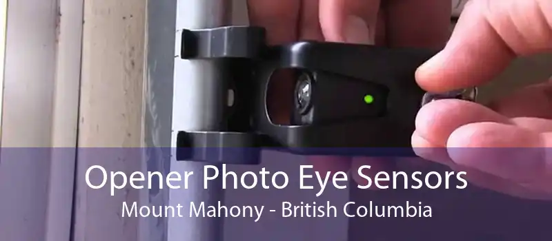 Opener Photo Eye Sensors Mount Mahony - British Columbia