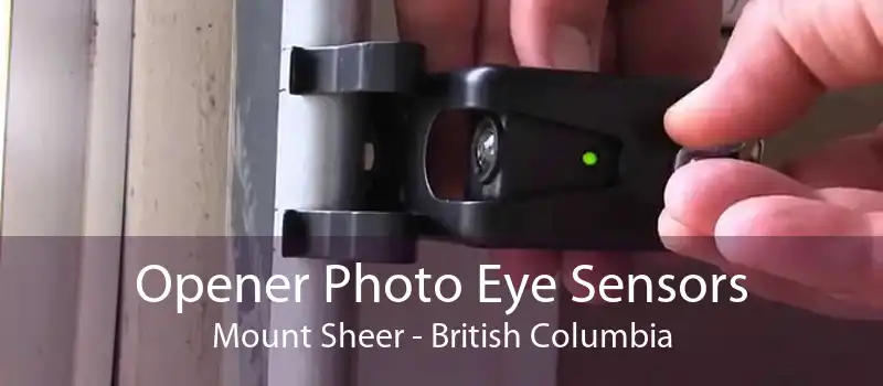 Opener Photo Eye Sensors Mount Sheer - British Columbia