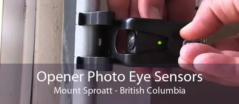 Opener Photo Eye Sensors Mount Sproatt - British Columbia