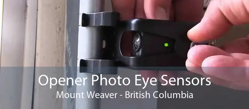 Opener Photo Eye Sensors Mount Weaver - British Columbia