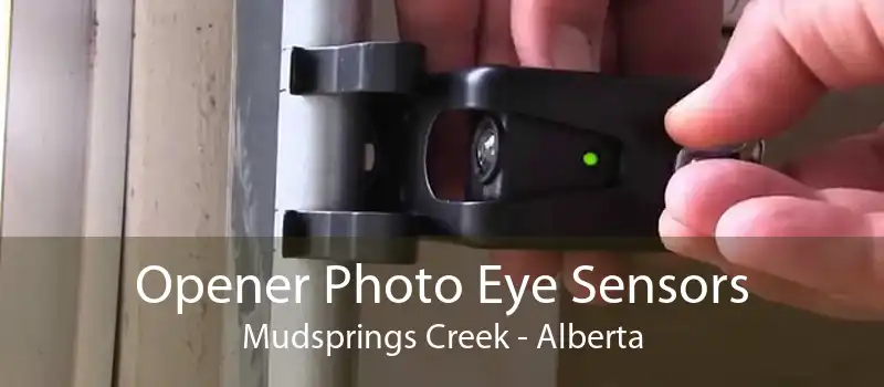 Opener Photo Eye Sensors Mudsprings Creek - Alberta