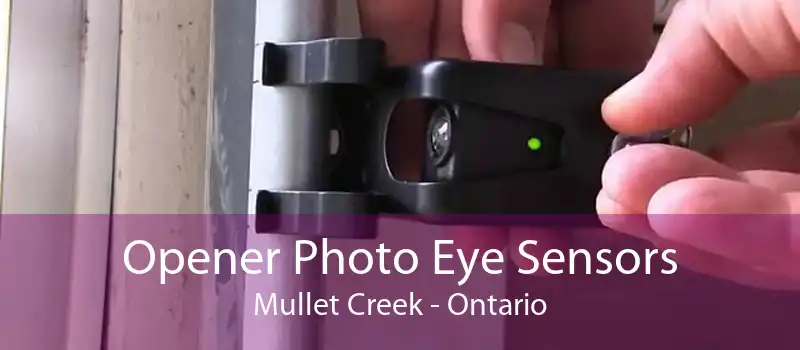 Opener Photo Eye Sensors Mullet Creek - Ontario