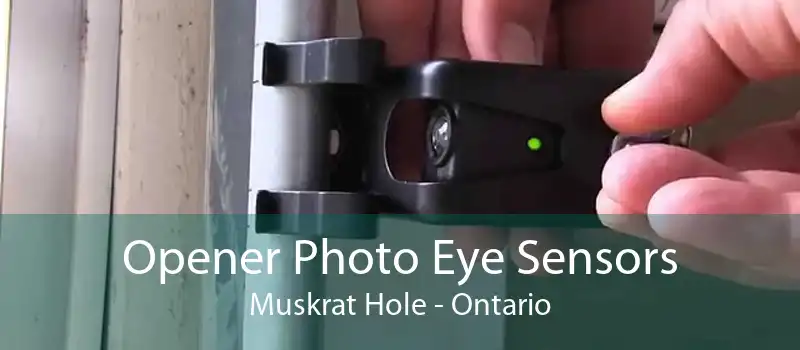 Opener Photo Eye Sensors Muskrat Hole - Ontario