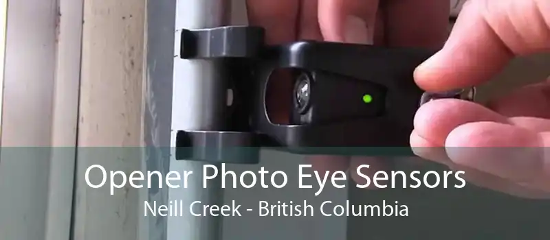 Opener Photo Eye Sensors Neill Creek - British Columbia