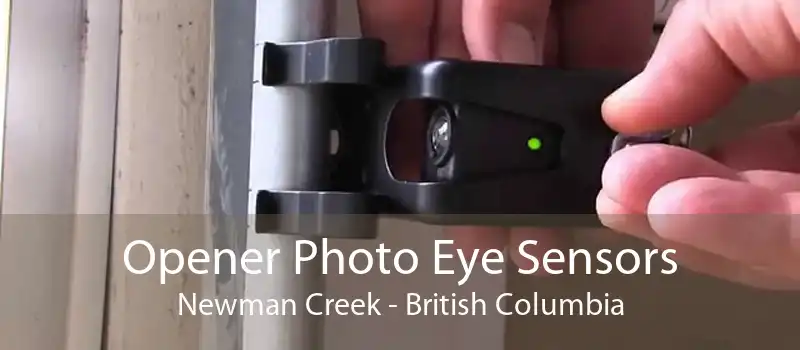 Opener Photo Eye Sensors Newman Creek - British Columbia