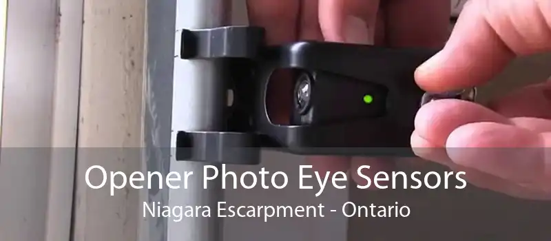 Opener Photo Eye Sensors Niagara Escarpment - Ontario