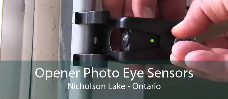 Opener Photo Eye Sensors Nicholson Lake - Ontario