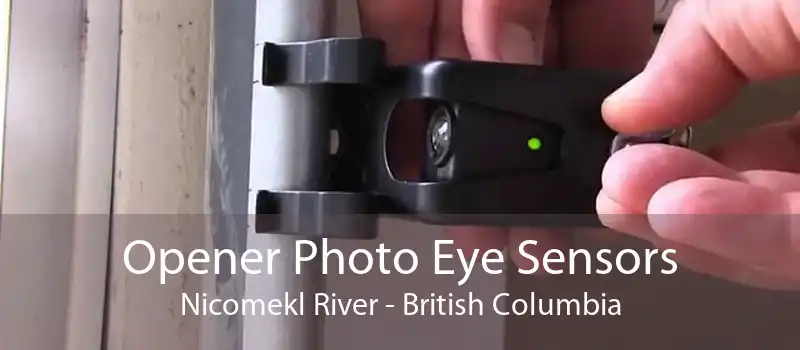 Opener Photo Eye Sensors Nicomekl River - British Columbia