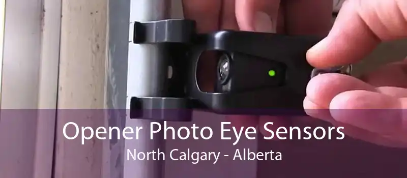 Opener Photo Eye Sensors North Calgary - Alberta