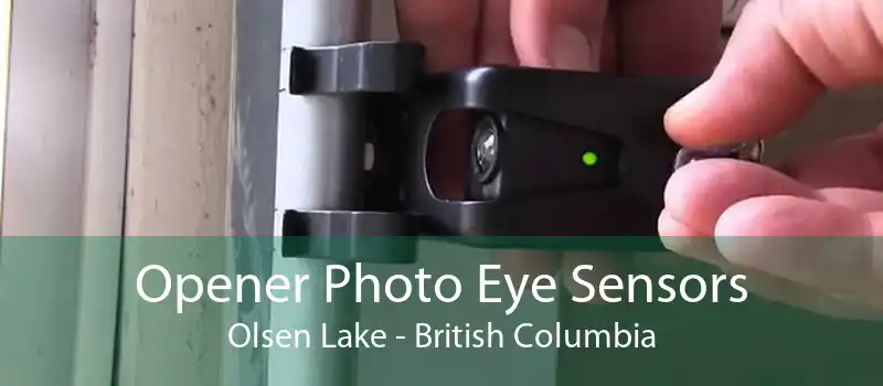 Opener Photo Eye Sensors Olsen Lake - British Columbia