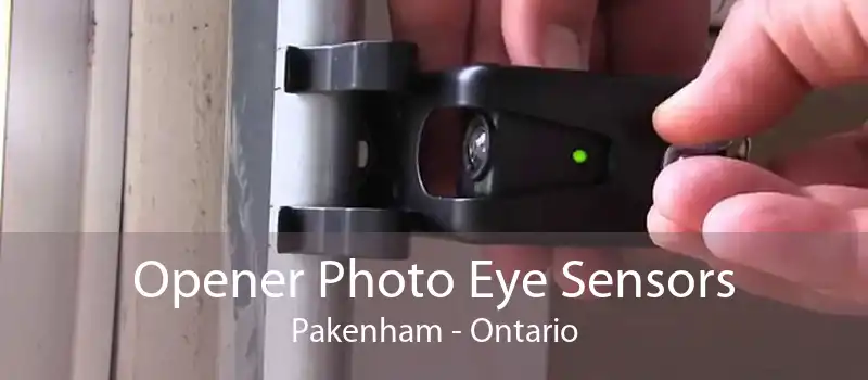 Opener Photo Eye Sensors Pakenham - Ontario
