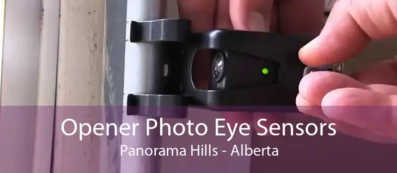 Opener Photo Eye Sensors Panorama Hills - Alberta