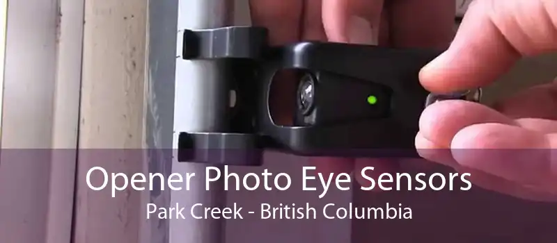 Opener Photo Eye Sensors Park Creek - British Columbia