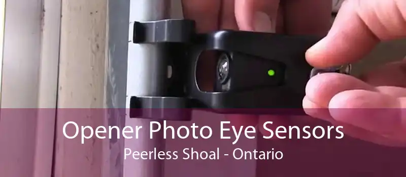 Opener Photo Eye Sensors Peerless Shoal - Ontario