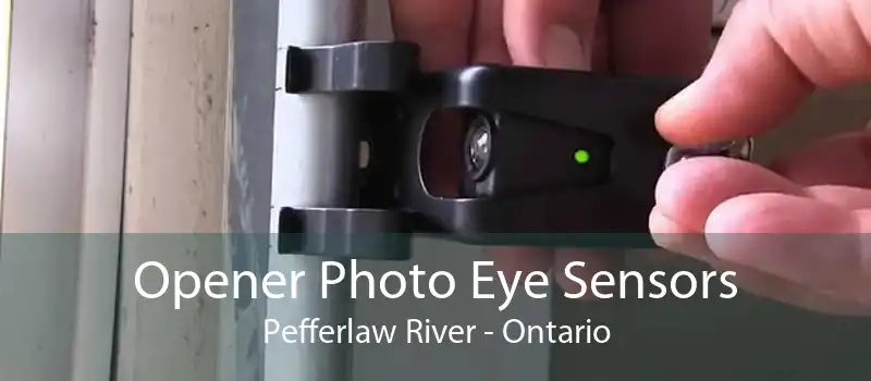 Opener Photo Eye Sensors Pefferlaw River - Ontario