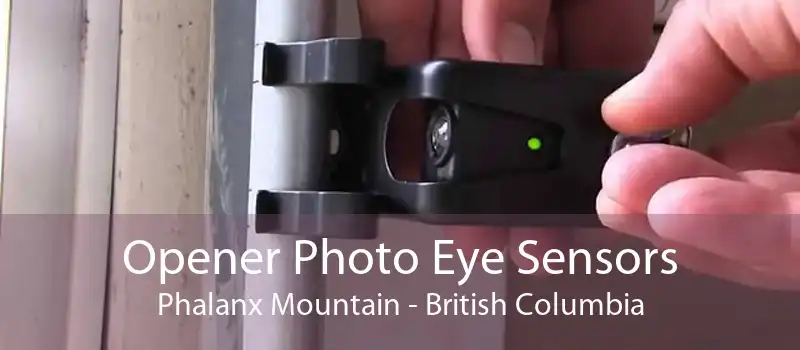 Opener Photo Eye Sensors Phalanx Mountain - British Columbia