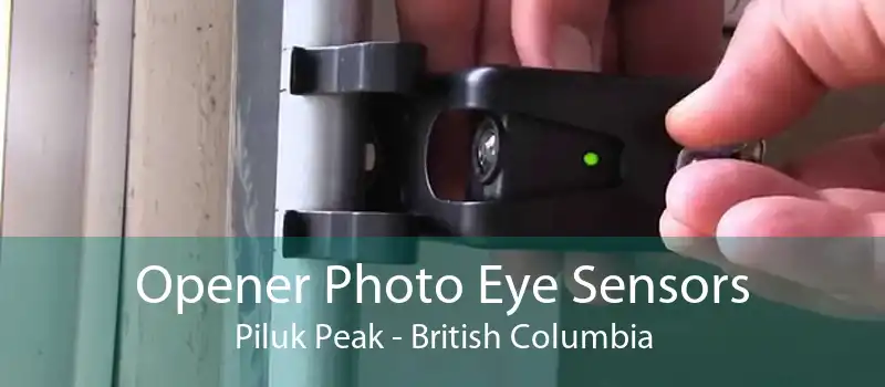 Opener Photo Eye Sensors Piluk Peak - British Columbia