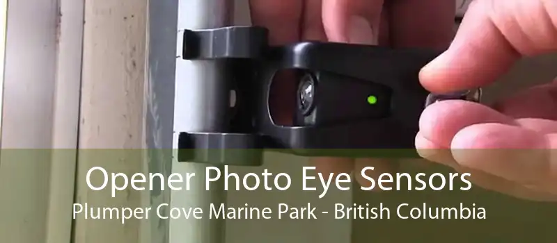Opener Photo Eye Sensors Plumper Cove Marine Park - British Columbia
