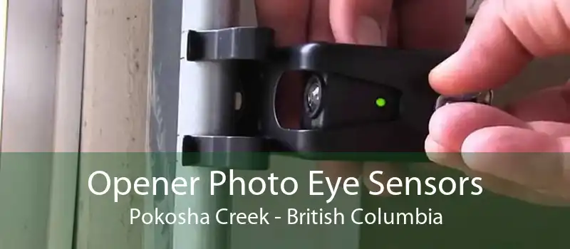 Opener Photo Eye Sensors Pokosha Creek - British Columbia