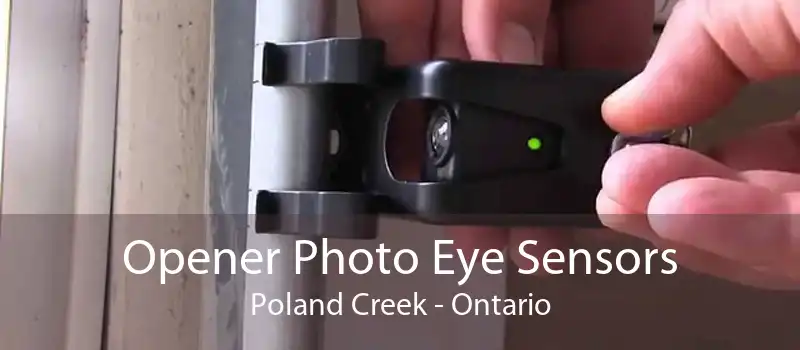 Opener Photo Eye Sensors Poland Creek - Ontario