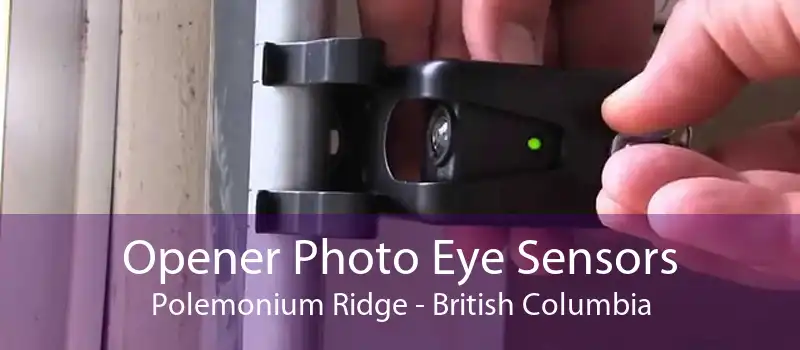 Opener Photo Eye Sensors Polemonium Ridge - British Columbia
