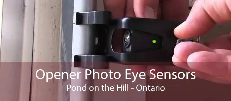 Opener Photo Eye Sensors Pond on the Hill - Ontario