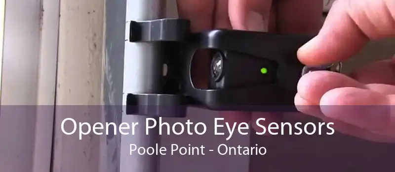 Opener Photo Eye Sensors Poole Point - Ontario