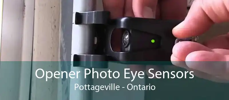Opener Photo Eye Sensors Pottageville - Ontario