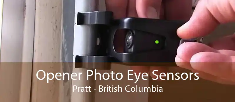 Opener Photo Eye Sensors Pratt - British Columbia