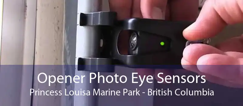 Opener Photo Eye Sensors Princess Louisa Marine Park - British Columbia