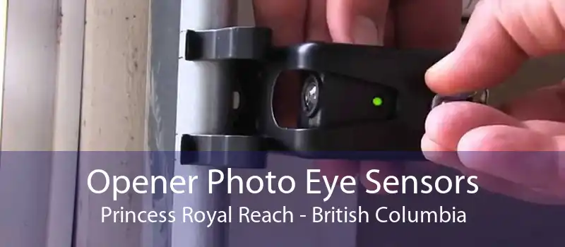 Opener Photo Eye Sensors Princess Royal Reach - British Columbia