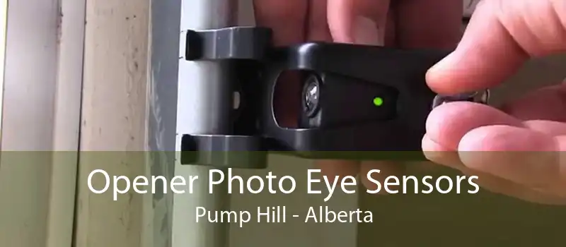 Opener Photo Eye Sensors Pump Hill - Alberta