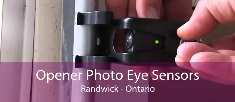 Opener Photo Eye Sensors Randwick - Ontario